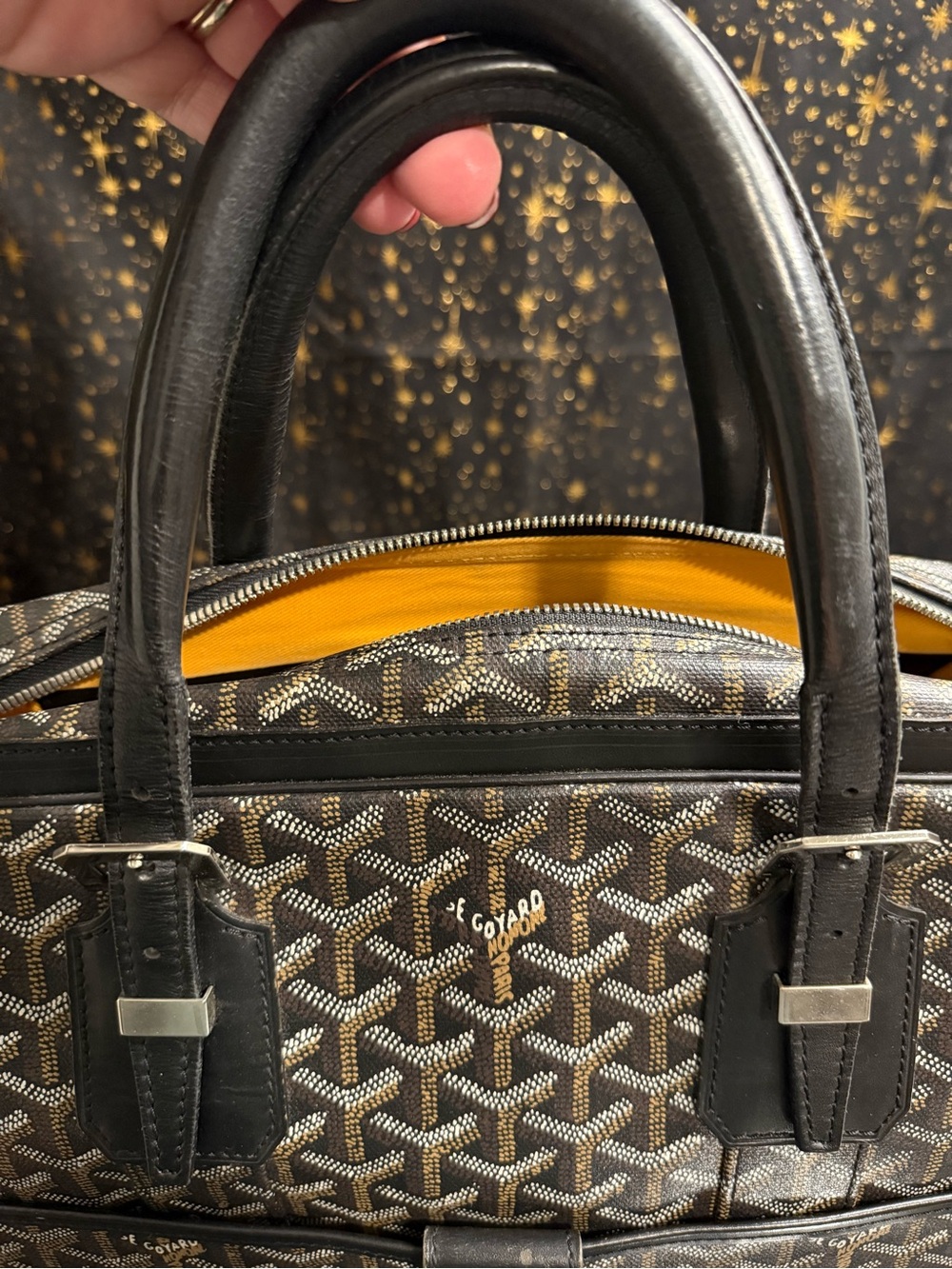 Goyard Ambassade Briefcase PM - Picture 13 of 15